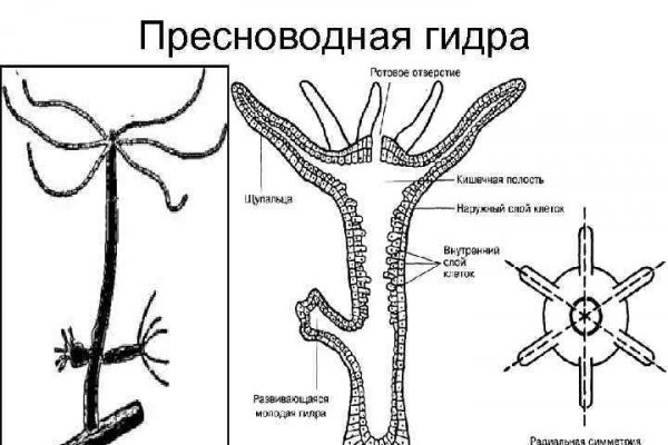 Кракен основная ссылка onion